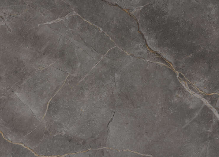 SASSI Platino Quartizite